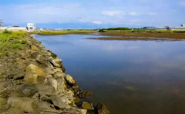 「楠漁港のハゼ釣りで15cm頭に30匹　追い食い狙いダブルヒットが爽快」の画像
