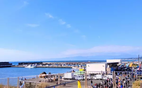 「魚市場が「鮮魚の移動販売」をスタート　古くからある販売手法を採用したワケとは？」の画像