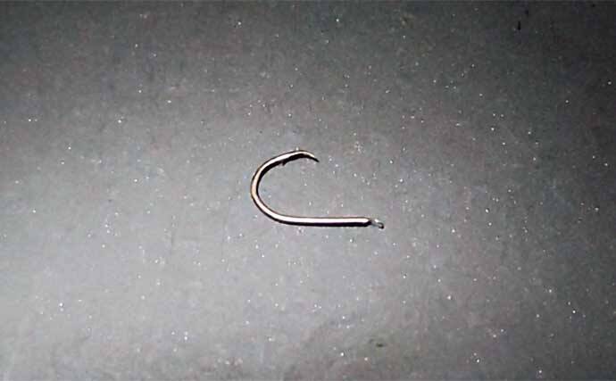 堤防カワハギ釣りにおける【針の種類と選び方】 使用するエサによって使い分けよう