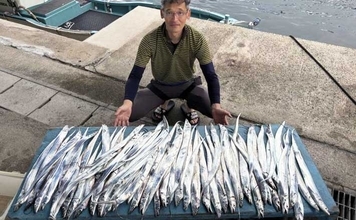 【沖釣り釣果速報】午後のライトタチウオ便で竿頭60匹！テンヤ・テンビン両方で連発（愛知）