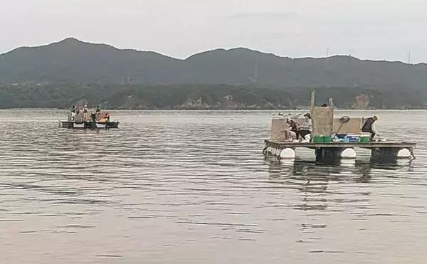 「安乗釣センターのカカリ釣りでマアジ連発！【三重】泳がせ釣りでは40cmシオがヒット」の画像