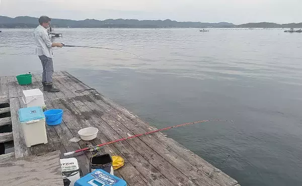 「安乗釣センターのカカリ釣りでマアジ連発！【三重】泳がせ釣りでは40cmシオがヒット」の画像