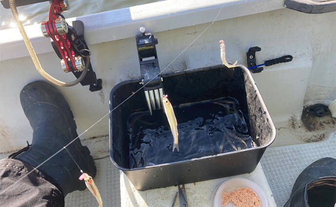 「シーズン序盤から絶好調！」入鹿池でのワカサギ釣りで528匹と豊漁【愛知】