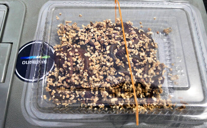 「冬は陸っぱりアナゴ釣りの季節！」 用意しておきたいブッコミ釣り用のエサ4選