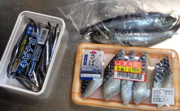 「「冬は陸っぱりアナゴ釣りの季節！」 用意しておきたいブッコミ釣り用のエサ4選」の画像