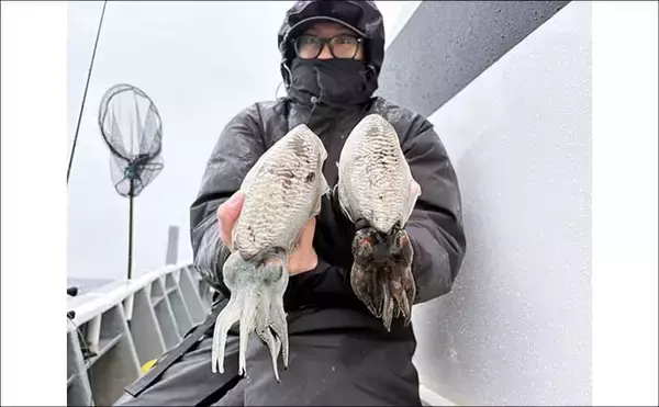 「底物五目釣りでレア魚『カケハシハタ』が浮上！【船のエサ釣り最新情報／愛知・静岡】」の画像