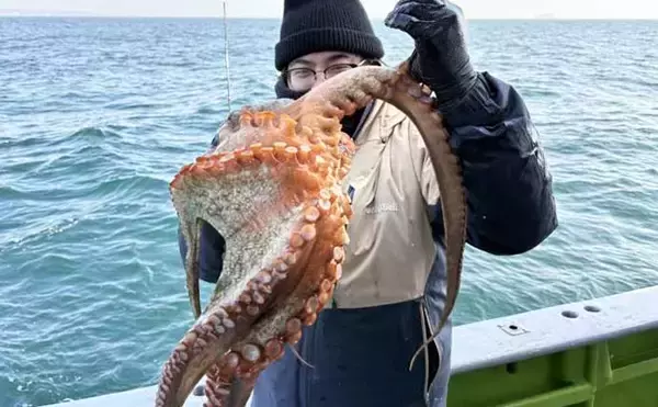 「底物五目釣りでレア魚『カケハシハタ』が浮上！【船のエサ釣り最新情報／愛知・静岡】」の画像