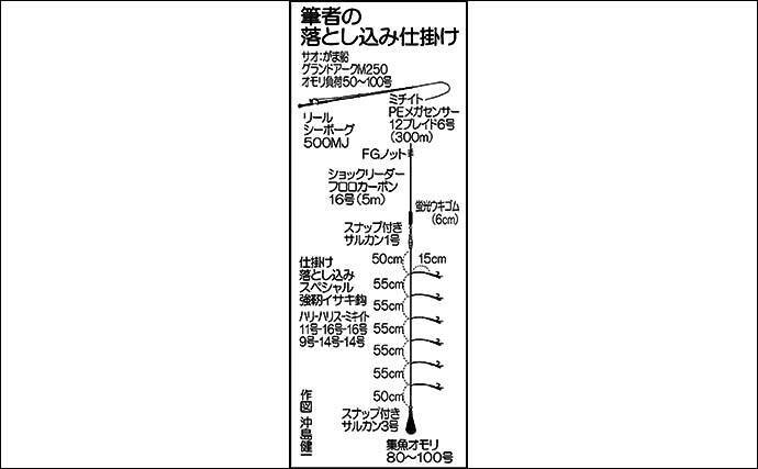 落とし込み釣りでサワラにブリ族手中 エサ付けに苦戦も仕掛け変更で対応 22年1月日 エキサイトニュース 2 3