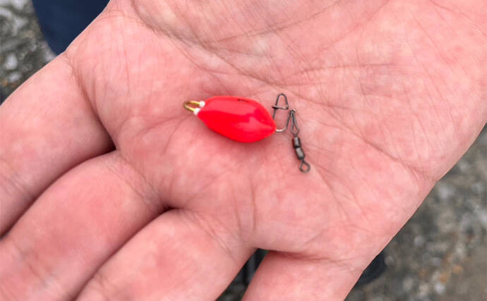 「雨で釣り場が貸切状態！」江戸川放水路のチョイ投げ釣りでハゼ137匹手中【千葉】