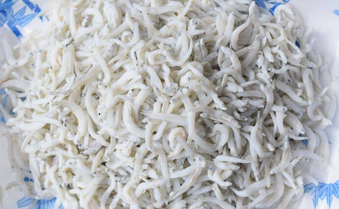 「シラス」と「ちりめんじゃこ」は何が違う？　それぞれの味わいと活用方法を紹介