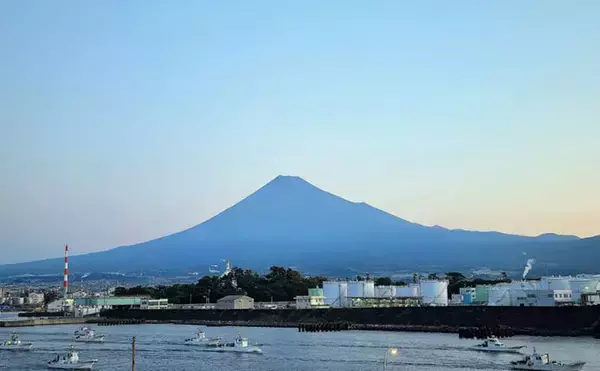 「「シラス」と「ちりめんじゃこ」は何が違う？　それぞれの味わいと活用方法を紹介」の画像