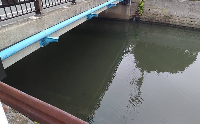 釣具屋の繁忙期はズバリいつ？　全国チェーン店スタッフ約200人にアンケート