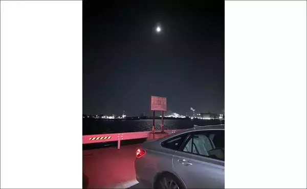 「夜の落とし込み釣りでクロダイにスズキをキャッチ！【愛知】活きエビにヒット」の画像