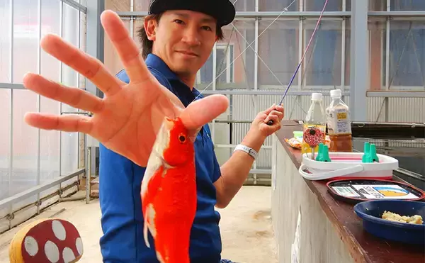 キンギョ＆コイのつり堀で109尾の大爆釣【おかべ農園】抜群の魚影の濃さを満喫