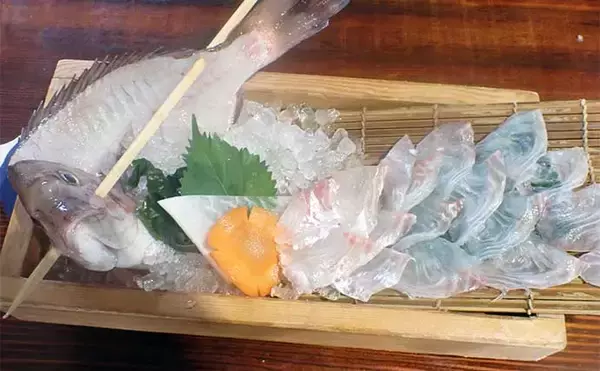 「小学生が『釣船茶屋ざうお』で居酒屋デビュー　マダイにヒラメにクルマエビをキャッチ！」の画像