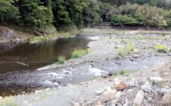 「「9月中旬までOK！」2025年鮎（アユ）釣りおすすめ河川：桂川本流・支流」の画像