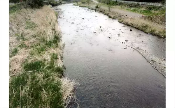 「「9月中旬までOK！」2025年鮎（アユ）釣りおすすめ河川：桂川本流・支流」の画像