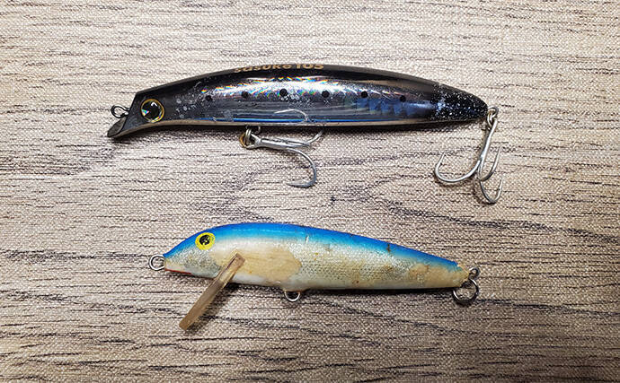 「初ヒットまで1年、初キャッチまで10年！」 ルアーシーバス釣りは難しい？