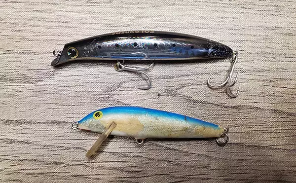 「「初ヒットまで1年、初キャッチまで10年！」 ルアーシーバス釣りは難しい？」の画像