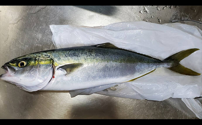 「初ヒットまで1年、初キャッチまで10年！」 ルアーシーバス釣りは難しい？