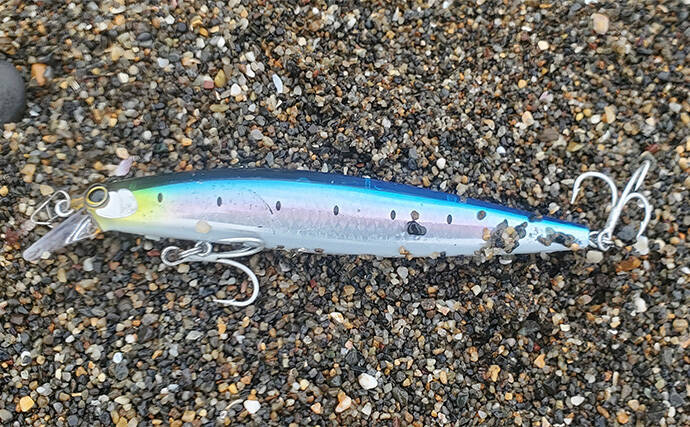 「初ヒットまで1年、初キャッチまで10年！」 ルアーシーバス釣りは難しい？