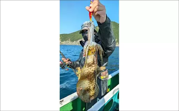 「【沖のルアー釣果速報】鳥羽沖のキャスティングゲームでサワラ93cm含む青物が大連発！（三重）」の画像