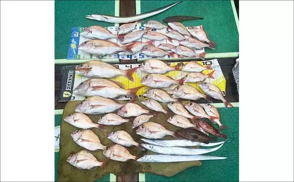 「【沖のルアー釣果速報】鳥羽沖のキャスティングゲームでサワラ93cm含む青物が大連発！（三重）」の画像