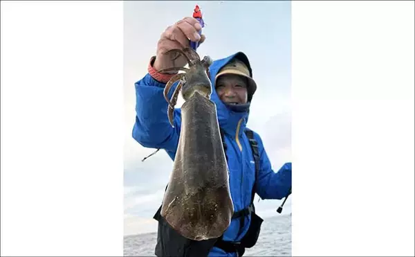 「【沖のルアー釣果速報】鳥羽沖のキャスティングゲームでサワラ93cm含む青物が大連発！（三重）」の画像