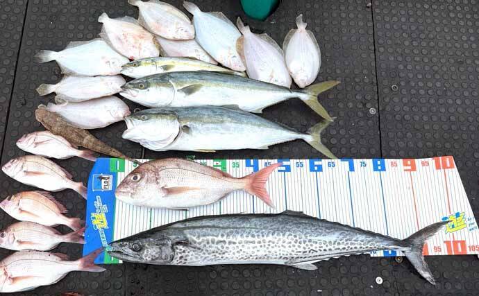 【沖のルアー釣果速報】鳥羽沖のキャスティングゲームでサワラ93cm含む青物が大連発！（三重）