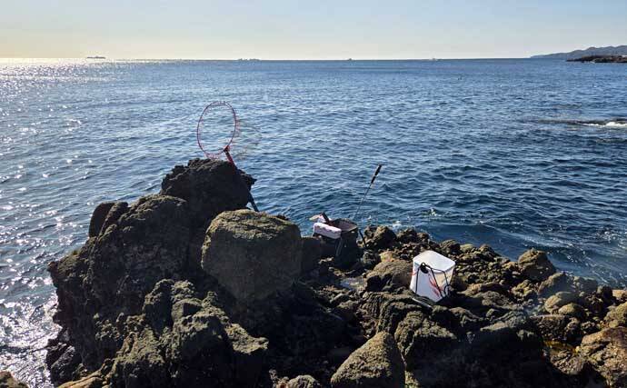 伊豆半島の沖磯で開催された磯釣り大会で見事優勝！ 潮を読み40cm寒メジナを好捕