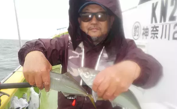 「東京湾走水沖のビシアジ船で35cm超え筆頭に良型ブランドアジ29尾ゲット！【神奈川】」の画像