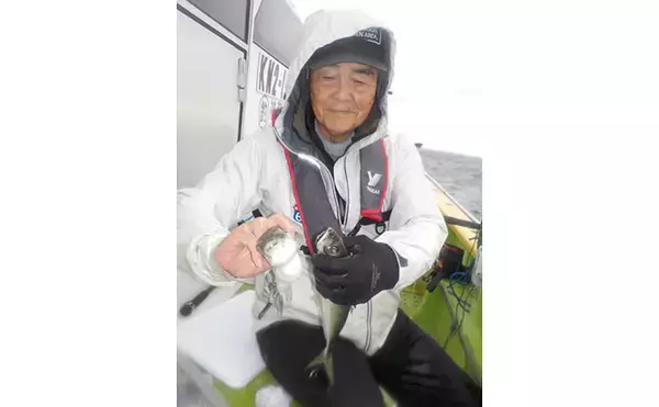 「東京湾走水沖のビシアジ船で35cm超え筆頭に良型ブランドアジ29尾ゲット！【神奈川】」の画像