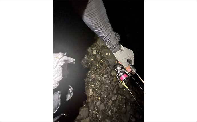 夜磯ルアー釣行でカサゴ＆蛍（ホタル）をゲット？　フリーリグにヒット