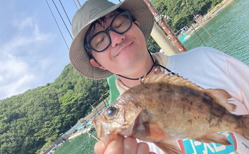 的矢湾沖タテ釣りでマダイ・ヒラメ・青物など多彩釣果！【三重】仕掛けの使い分けが奏功？