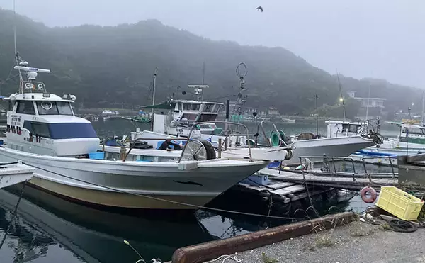 「的矢湾沖タテ釣りでマダイ・ヒラメ・青物など多彩釣果！【三重】仕掛けの使い分けが奏功？」の画像