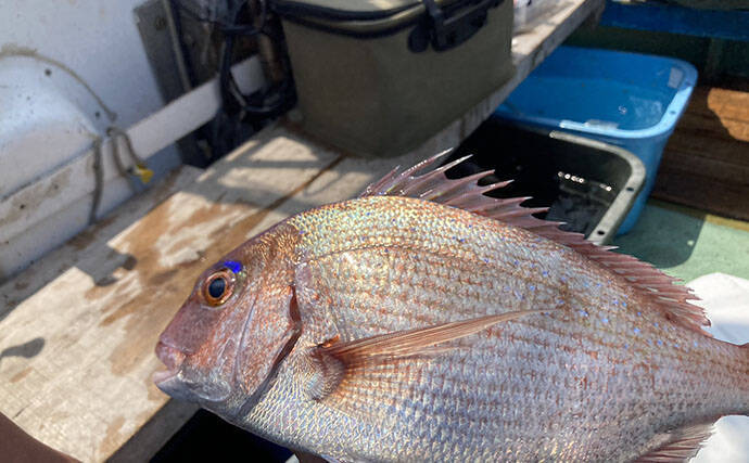 的矢湾沖タテ釣りでマダイ・ヒラメ・青物など多彩釣果！【三重】仕掛けの使い分けが奏功？
