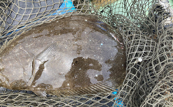 的矢湾沖タテ釣りでマダイ・ヒラメ・青物など多彩釣果！【三重】仕掛けの使い分けが奏功？