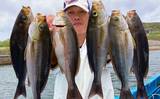 「【2022年】船イサキ釣り入門解説　タックル・釣り方・関東エリアの近況」の画像1
