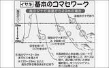 「【2022年】船イサキ釣り入門解説　タックル・釣り方・関東エリアの近況」の画像4