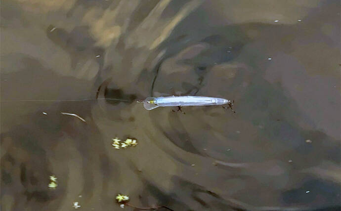 シーバスゲームのレベルアップ最重要テクニック【ドリフト】を理解しよう