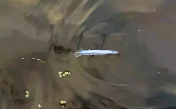 「シーバスゲームのレベルアップ最重要テクニック【ドリフト】を理解しよう」の画像