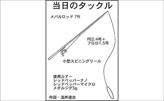 温排水エリアのライトゲームでイケカツオ連発【三重県・四日市港】トップとメタルの使い分けが奏功