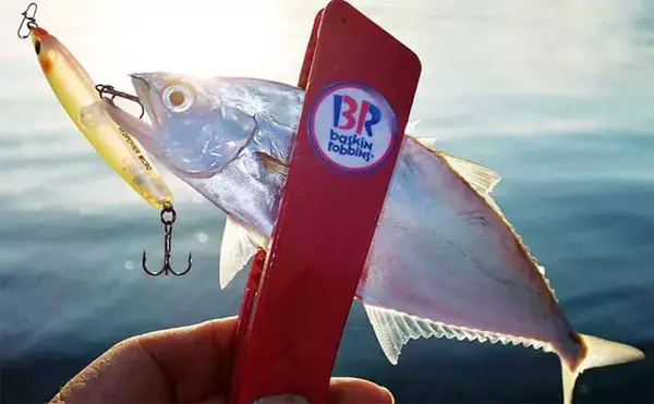 「温排水エリアのライトゲームでイケカツオ連発【三重県・四日市港】トップとメタルの使い分けが奏功」の画像