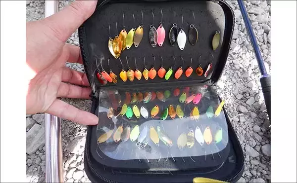 「冬のエリアトラウト攻略　スプーニングの「巻き」で釣果を伸ばすコツ」の画像