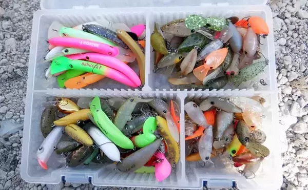 「冬のエリアトラウト攻略　スプーニングの「巻き」で釣果を伸ばすコツ」の画像