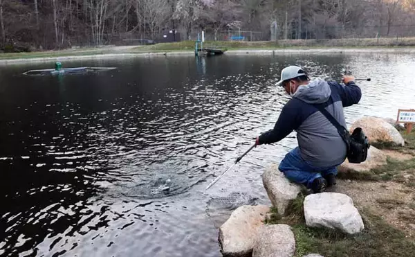 「冬のエリアトラウト攻略　スプーニングの「巻き」で釣果を伸ばすコツ」の画像