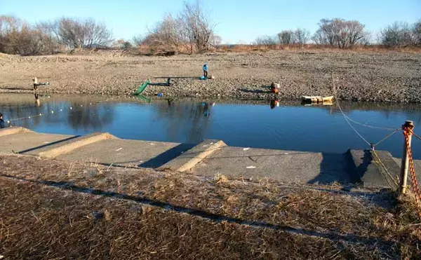 「冬のエリアトラウト攻略　スプーニングの「巻き」で釣果を伸ばすコツ」の画像