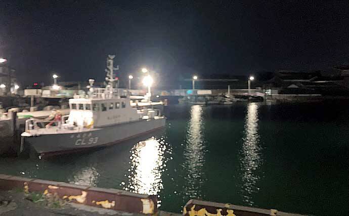 アジングタックルでシーバス20匹【四日市港・三重】セイゴサイズ中心に連続ヒット