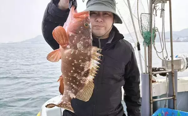 「「今が旬！」テンビン五目釣りで良型イサキが入れ食い【船のエサ釣り最新情報10選・福岡】」の画像