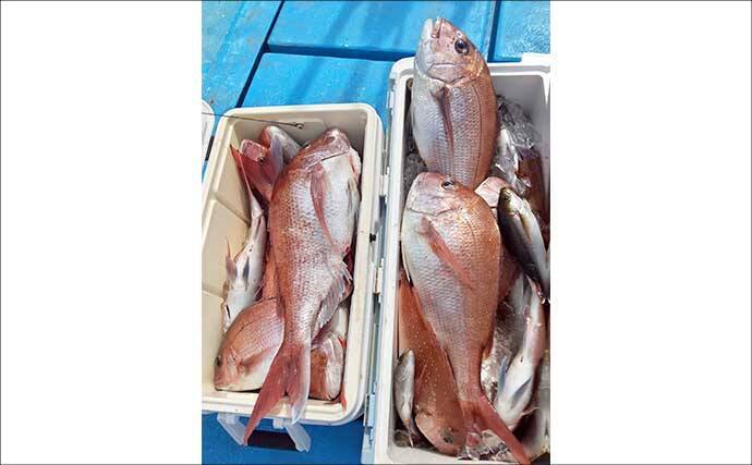 「今が旬！」テンビン五目釣りで良型イサキが入れ食い【船のエサ釣り最新情報10選・福岡】